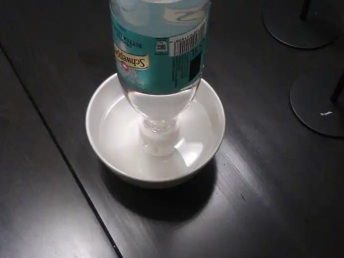 automatic-water-cup
